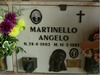 ANGELO MARTINELLO photo