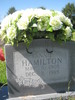 FANNIE HAMILTON photo