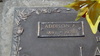 ADDISON LACEY photo