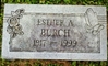 ESTHER A BURCH photo