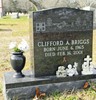 CLIFFORD A BRIGGS photo
