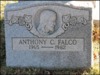 ANTHONY FALCO photo